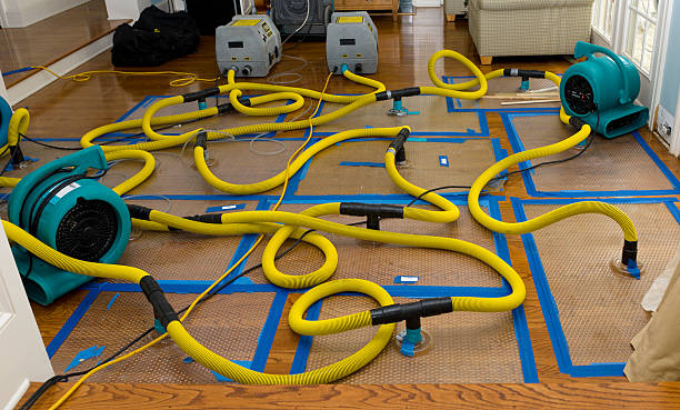 Professional Crawl Space Water Removal technician working in Whitney, TX